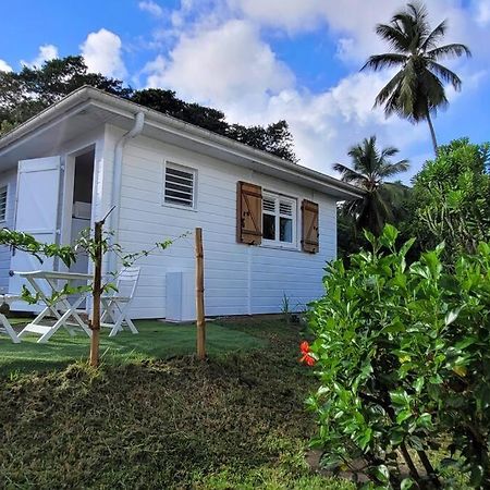 Ti-Hibiscus Bungalow T1 Clim-Wifi 30M2 2 Pers Grande Savane Εξωτερικό φωτογραφία