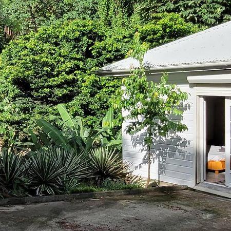 Ti-Hibiscus Bungalow T1 Clim-Wifi 30M2 2 Pers Grande Savane Εξωτερικό φωτογραφία