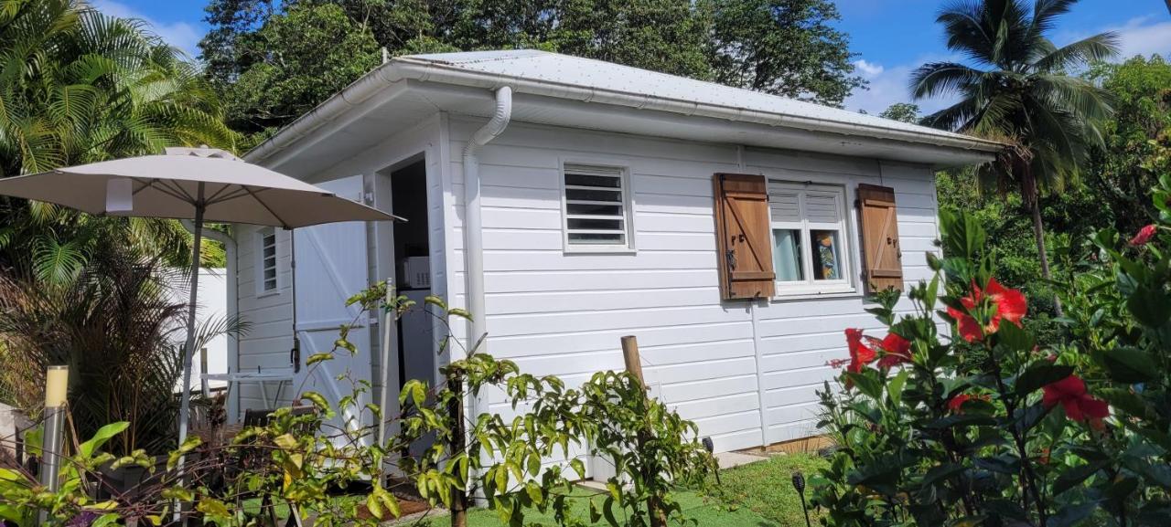 Ti-Hibiscus Bungalow T1 Clim-Wifi 30M2 2 Pers Grande Savane Εξωτερικό φωτογραφία